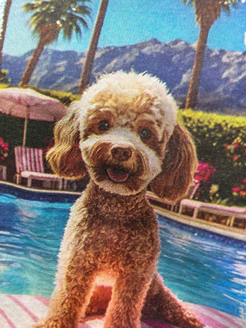 TEE SHIRT CANICHE