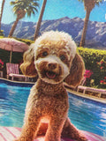 TEE SHIRT CANICHE