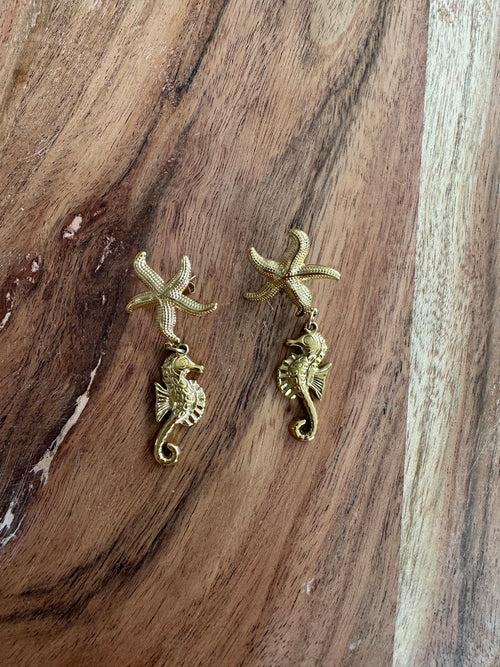 BOUCLES HIPPOCCAMPE
