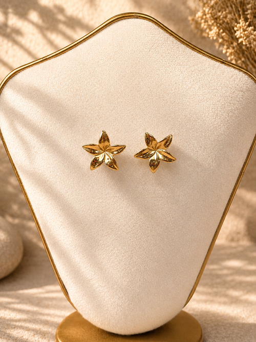 BOUCLES D'OREILLES FLORIANE