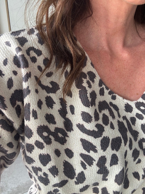PULL GRAOU